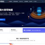 野草云：12周年庆，香港VPS低至81元/年(AMD EPYC/100M带宽)，香港独服188元/月