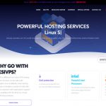 DesiVPS：美国VPS低至$17/年，可选10Gbps大带宽VPS，或选择1Gbps不限流量VPS，每年可免费换3次IP