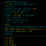 Megalayer测评：2M大陆优化线路无限流量、仅需199元/年的香港VPS好不好用？