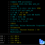 Megalayer的美国住宅IP VPS 怎么样？Megalayer的美国家庭IP VPS简单测评