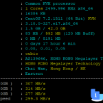 Megalayer怎么样？Megalayer新加坡国际带宽测评
