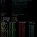 RAKsmart怎么样？RAKsmart美国VPS主机测评
